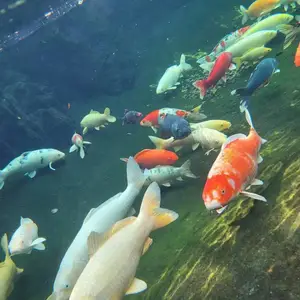 �����й������ˮ����ϵͳ��ư�װ �������軻ˮ
