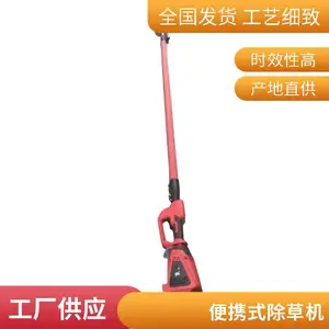 ��֦�;����ͱ������ĳ����֦���ҽ���������ľ���֦������