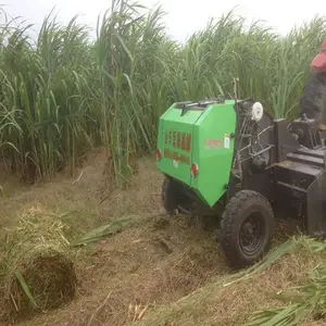 �����Զ�����ʽ��ʰ���ӹ����Ƴ��� �Զ����ϴ�����ʲô�۸�