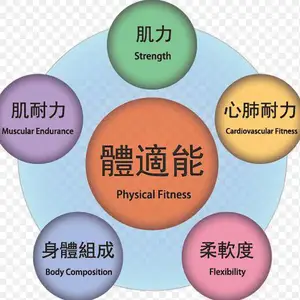 森众拓展(图)-亚洲体适能证书有哪些-体适能