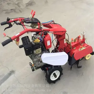 �и�������¢��/��п���������/�������ַ�������