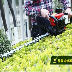 �����人�綯˫������� ���ʽ����޼��� ﮵���֦������ ��֦�� ����ʽ��֦���������