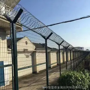 ***���� ��̩ ����***���� �͸�ʴ��ʵ�ι�***������ ����ֱ��