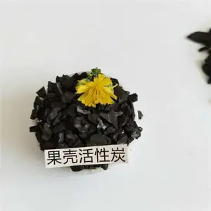果壳活性炭 净水活性炭上门更换