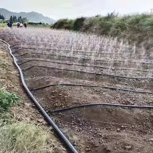 加工定制莱润牌PE微喷带 喷水带 喷带 喷灌带大棚园林苗圃灌溉用