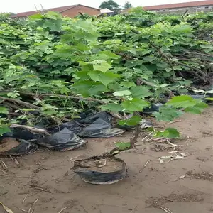 �����̹� 3-6�������������� ����ռ��3-2���ִ��������� ���������