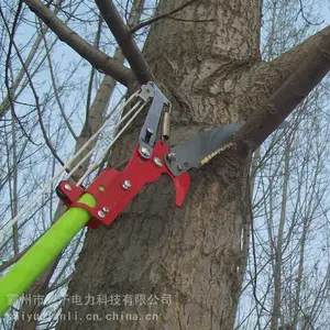 ZF010528��ľ�޼�����4��6�׸߿�԰�ַ�ľ��ӳ���˫����֦��