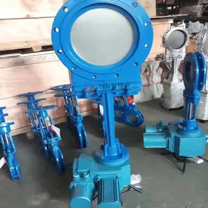 ��ˮ������������й©�綯��բ��DMPZ73X-10C-DN80 ��巧