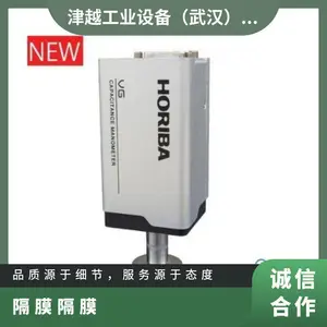 日本进口horiba 电容压力表 隔膜真空表VG-200S