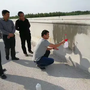 硅烷浸渍剂异丁基三乙氧基硅烷正辛基异辛基硅烷膏体