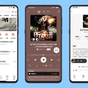 成熟音频系统源码交付,大幅降低开发成本与时间