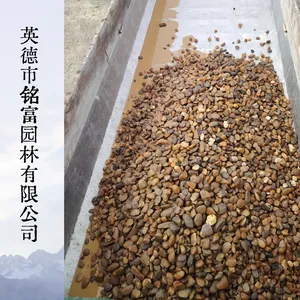 高纯度鹅卵石滤料 规格按需挑选 广 东就近堆场可看货