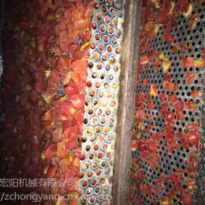 诸城宏阳连续多层带式西红柿烘干药材烘干