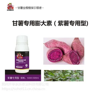 紫薯控旺专用 控旺膨大素 红薯专用型 薯帮主