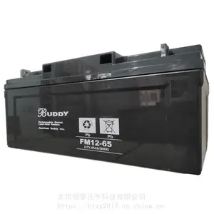 ��������6-GFM-150 12V150AH BUDDY����ʽ�ܷ�Ǧ������