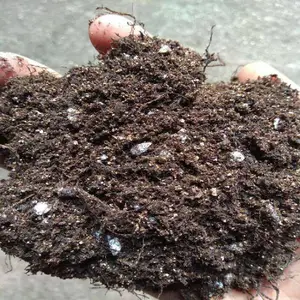 通用型育苗基质营养土 绿化种植 规格齐全 一袋起发货