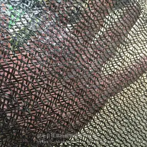 ��ɫũ�ô����ڹ������� ���ܼӺ��߲˸��������� ̫����ɹ��