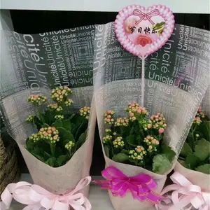 ͸���ʻ���װֽ������װ �ᱴ �� ����װĤ���� ����bopp�ƹ�Ĥ