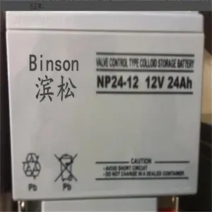 BINSON��������FM38-12�ܷⷧ��ʽ12V38Ah�������Ļ��ⴢ��ϵͳ