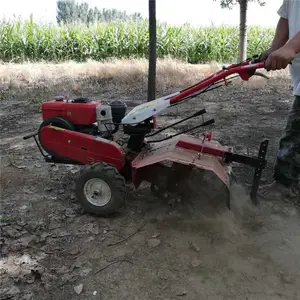���Ϳ�ũ����Ż�е �ʱ�С�Ϳ����� ҩ�ĵ����������