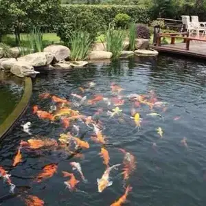 ������ع��˾���ˮ��������