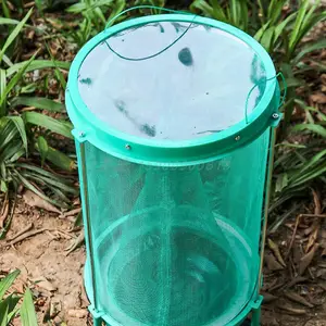 ��ʽ��Ӭ����ʽ��Ӭ������ý���������ܶȲ��в�׽����Ӭ��