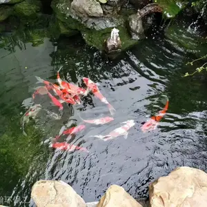 �����й������ˮ����ϵͳ��ư�װ �������軻ˮ