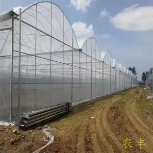 ���������ȶ�п����ܲ�ݮ����ֹܳ��������߲˴���