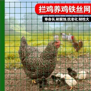 �ɾ���ɫ��Ƥ���� Ȧ�������� ������Ѽ��Χ����