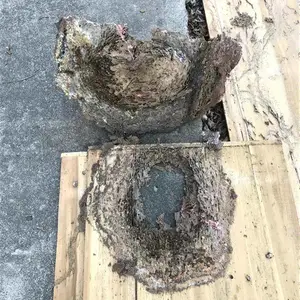 ����� ��ˮ����***ʳƷ����ɱ�ļҺ�