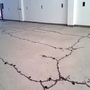 ������֬�� ��ש����������չ��ѷ�ע����