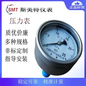 斯美特YTP-100F2/F4隔膜压力表