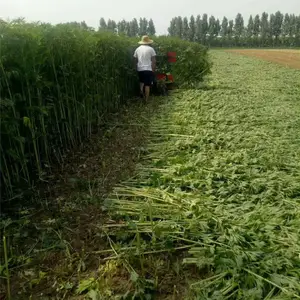 整机一套益母草手扶小型收割机