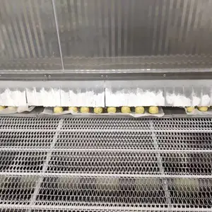 菏泽速冻隧道 安装小型网带式速冻隧道设备 菏泽速冻冷库价格 可定制