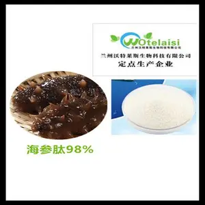 海参肽98% 小分子低聚肽 活性肽 海参提取物 海参蛋白肽