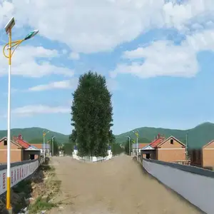 ����6��̫����·��ũ����칤�̿�һ�廯led·��