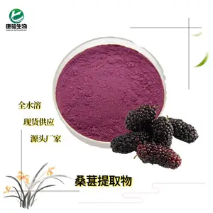 桑椹粉速溶桑葚果粉 桑椹冻干粉 食品级固体饮料 量大可优欢迎订购