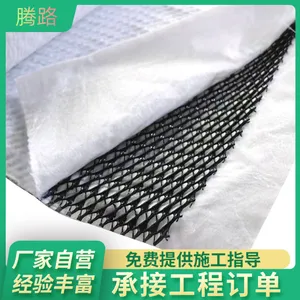 三维复合排水网 路基排水用4mm网芯 垃圾场塑料土工网
