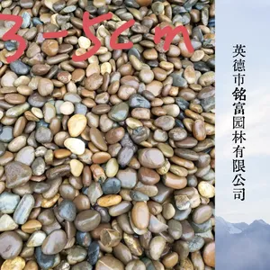 英 德产地鹅卵石 水洗抛光卵石 鱼池围边园林工程用石