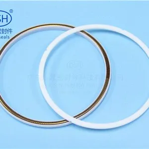 东晟进口密封件加强型泛塞封泛塞公司 加强型泛塞封
