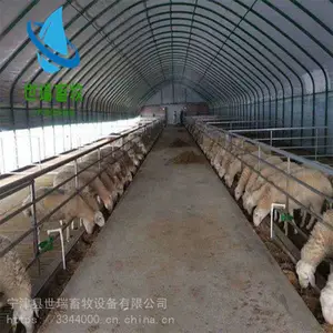 搭建养羊大棚 建养羊棚厂家 羊舍施工成本