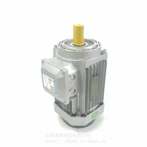 ����3KW��ʽB14 YE3-100L2-4B14�������������첽�綯��