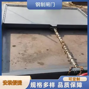 耐腐蚀钢制一体闸门 水利工程必备 安装便捷 启闭机