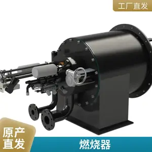 天然气 液化气燃烧器 各类气体燃气燃烧机 烧嘴源头厂家 岱鼎燃烧