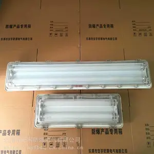 BYSϵ�з�������ȫ��ӫ���/��������ӫ���BYS-2*40W