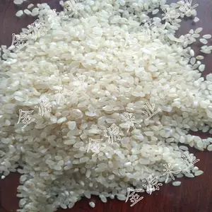 碎米大量批发 山东抛光碎米厂家直销