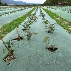 不同颜色防草布区别