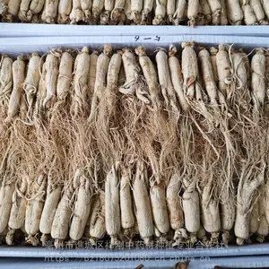 中药材人参出售 无硫选人参片 获证堂药食同源