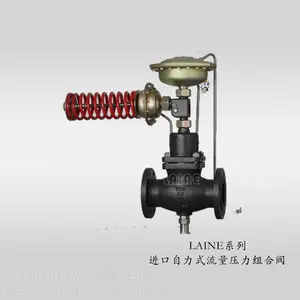����LAINE��������ʽ�������ڷ���̬ƽ��