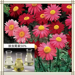 �������25% ˮ�ܰ��� �������ȡ�� 1������ ����